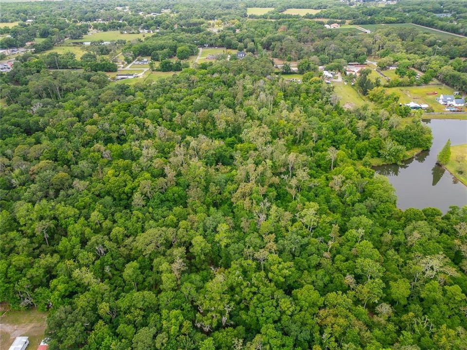 На продажу: $175,000 (4.95 acres)