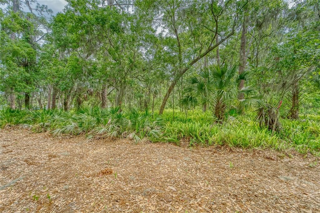 На продажу: $175,000 (4.95 acres)