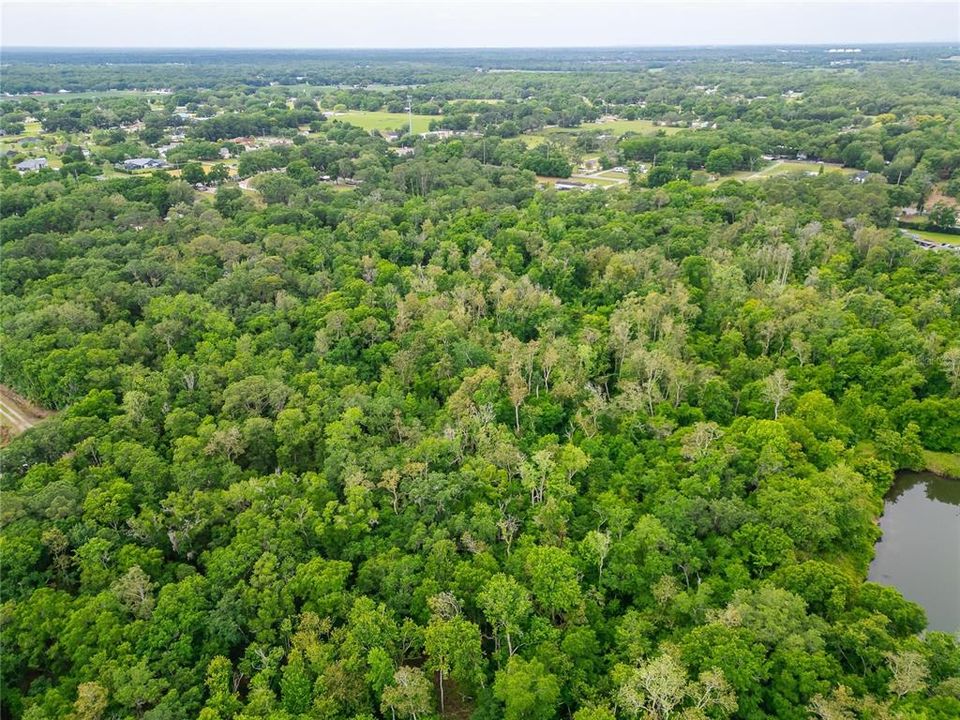 На продажу: $175,000 (4.95 acres)