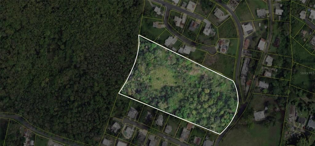 待售: $550,000 (6.07 acres)
