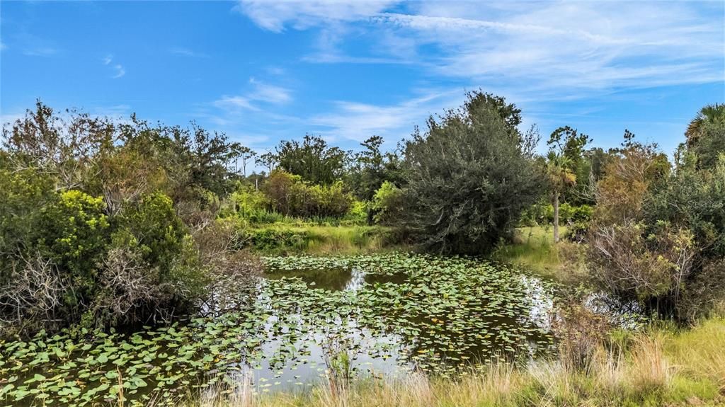 En Venta: $725,000 (4 camas, 3 baños, 3467 Pies cuadrados)