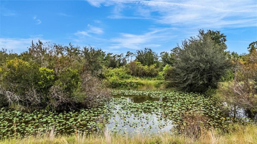 En Venta: $725,000 (4 camas, 3 baños, 3467 Pies cuadrados)