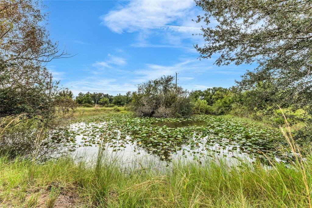 En Venta: $725,000 (4 camas, 3 baños, 3467 Pies cuadrados)