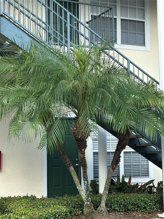 For Rent: $1,650 (2 beds, 2 baths, 960 Square Feet)