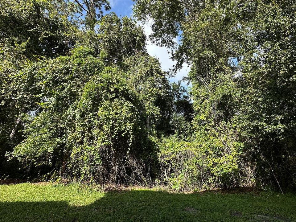 For Rent: $1,650 (2 beds, 2 baths, 960 Square Feet)