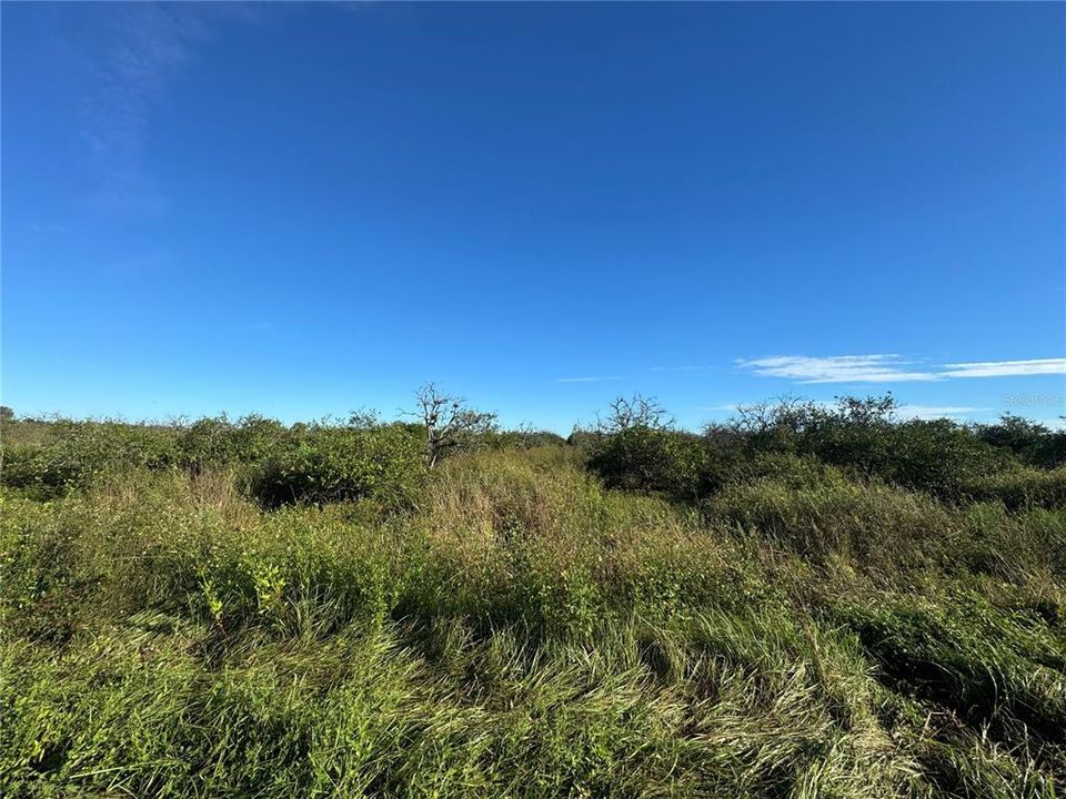 En Venta: $85,000 (10.00 acres)