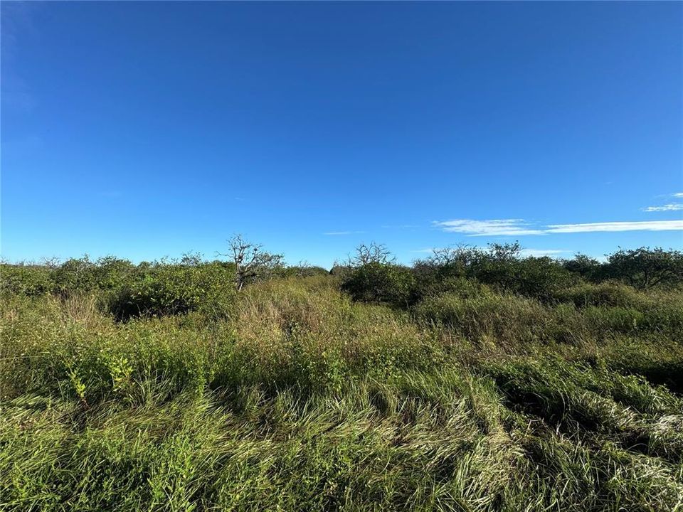 En Venta: $85,000 (10.00 acres)