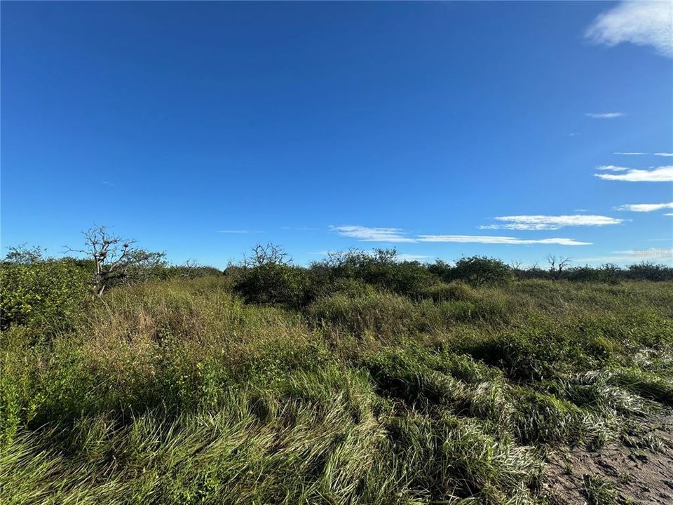 En Venta: $85,000 (10.00 acres)