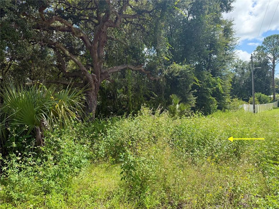 En Venta: $22,000 (0.39 acres)