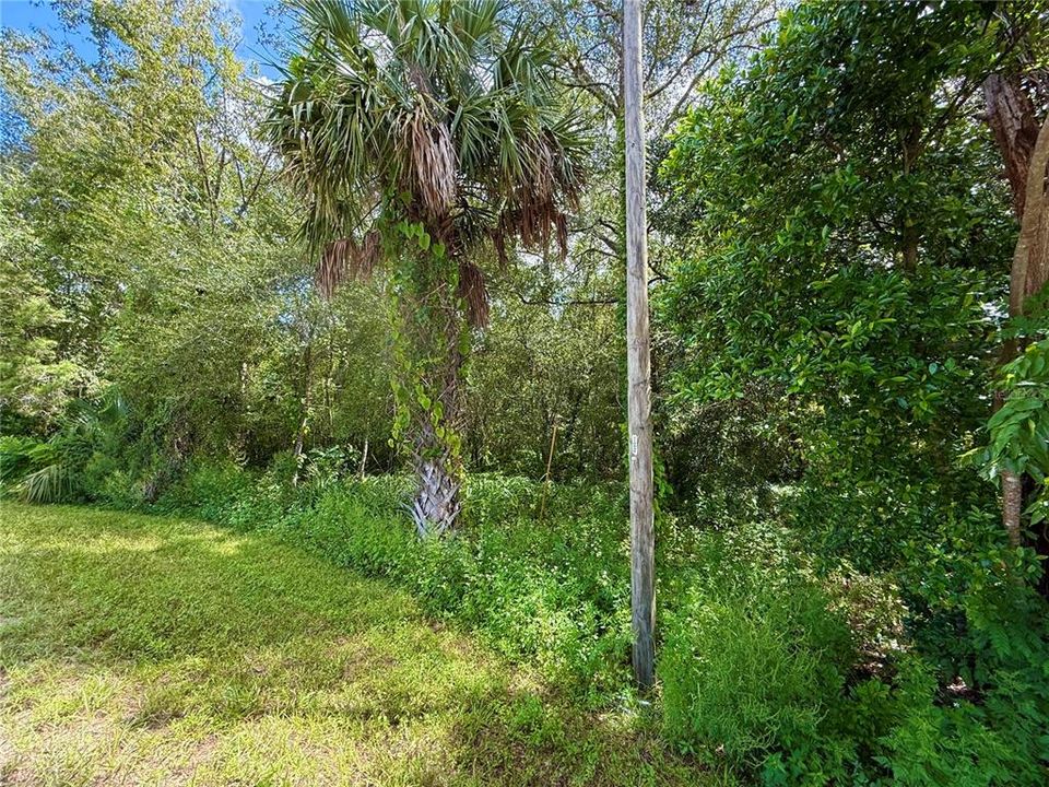 En Venta: $22,000 (0.39 acres)