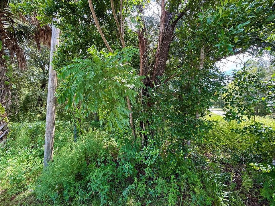 En Venta: $22,000 (0.39 acres)