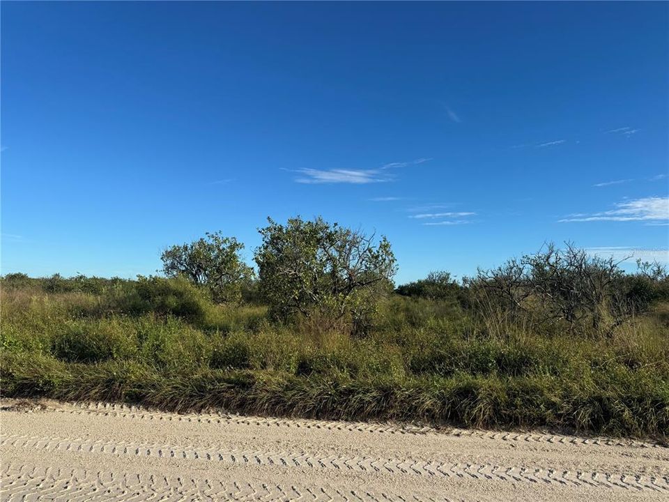 En Venta: $85,000 (10.00 acres)