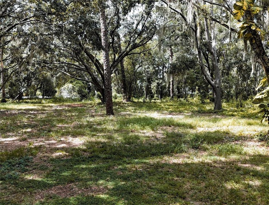 For Sale: $600,000 (1.11 acres)