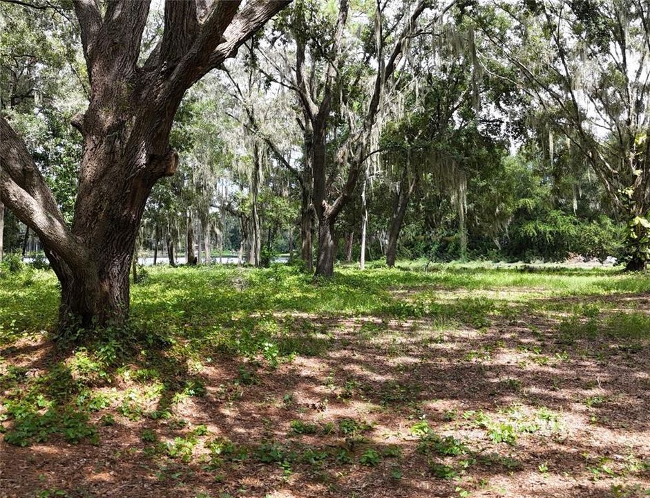 For Sale: $600,000 (1.11 acres)