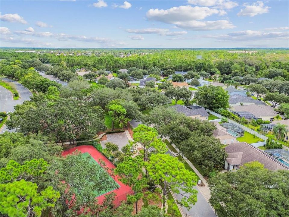 Под контрактом: $650,000 (4 спален, 2 ванн, 2998 Квадратных фут)