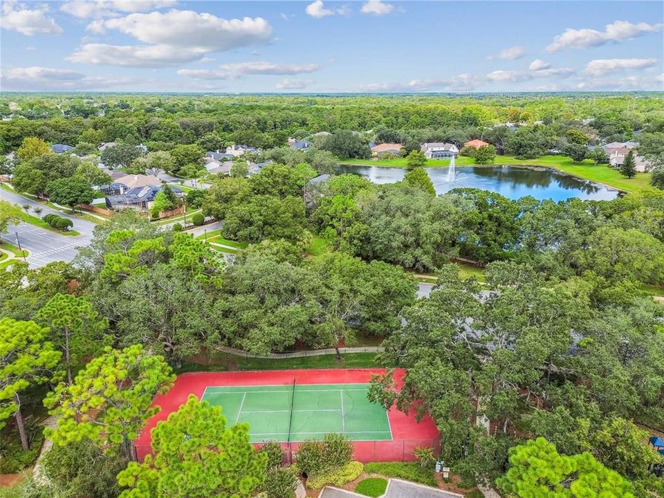 Под контрактом: $650,000 (4 спален, 2 ванн, 2998 Квадратных фут)