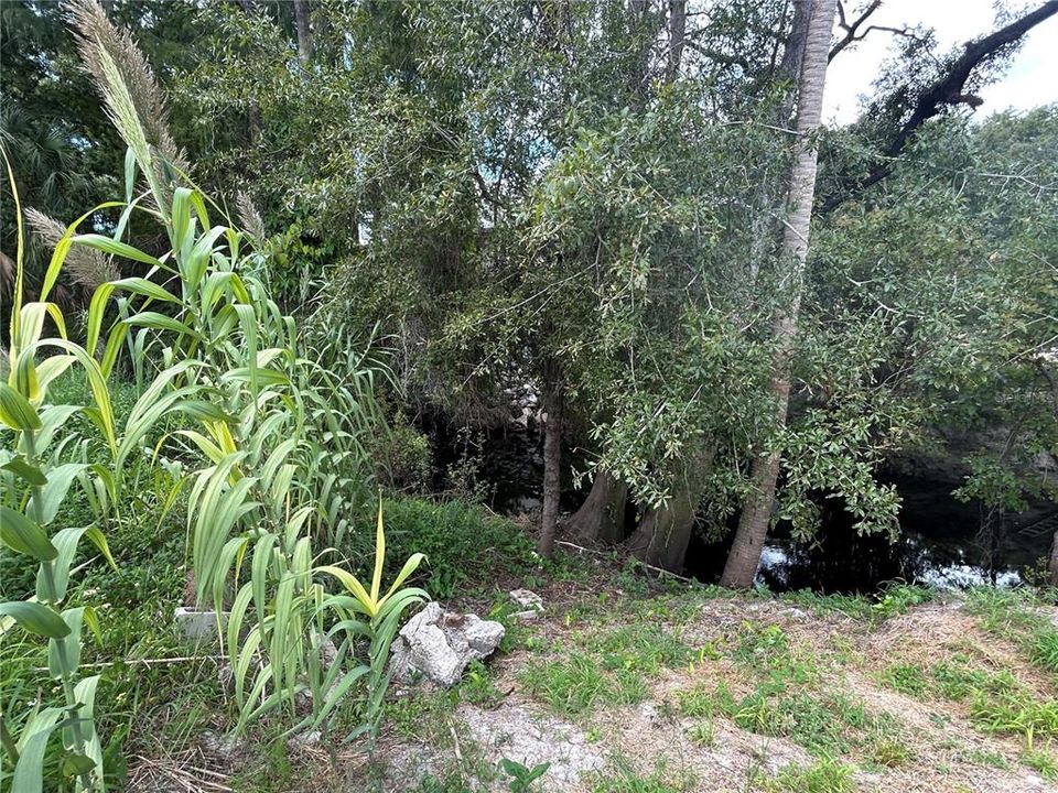 For Sale: $36,000 (0.15 acres)