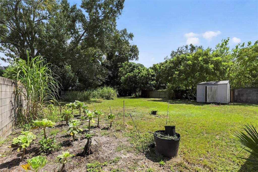 Под контрактом: $179,000 (2 спален, 2 ванн, 980 Квадратных фут)