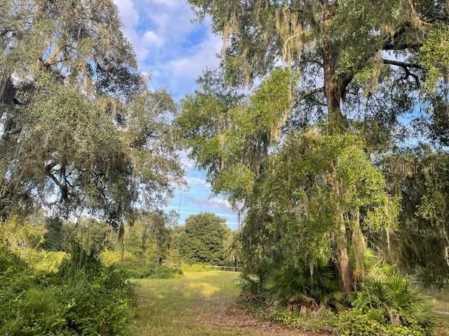 待售: $374,900 (3 贝兹, 2 浴室, 1246 平方英尺)