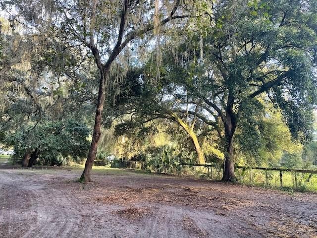 待售: $374,900 (3 贝兹, 2 浴室, 1246 平方英尺)