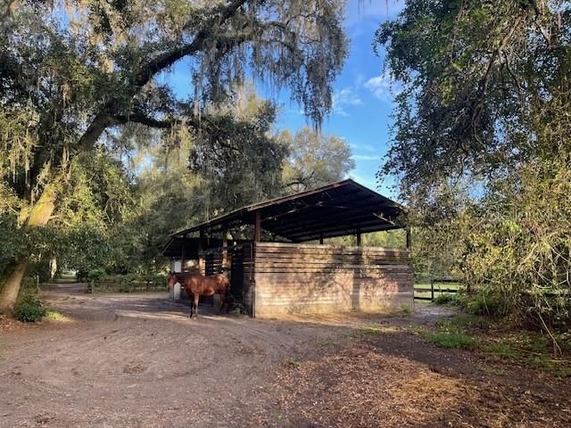 待售: $374,900 (3 贝兹, 2 浴室, 1246 平方英尺)