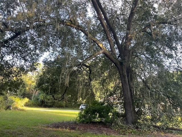 待售: $374,900 (3 贝兹, 2 浴室, 1246 平方英尺)