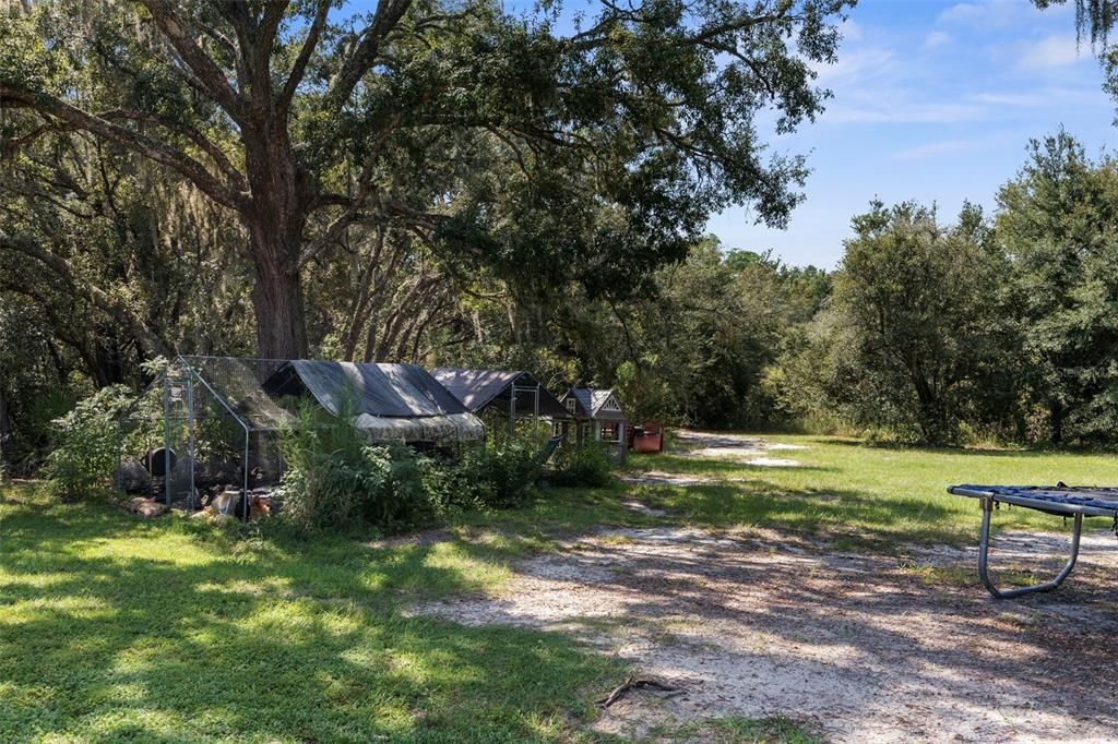 На продажу: $699,999 (5 спален, 3 ванн, 3000 Квадратных фут)