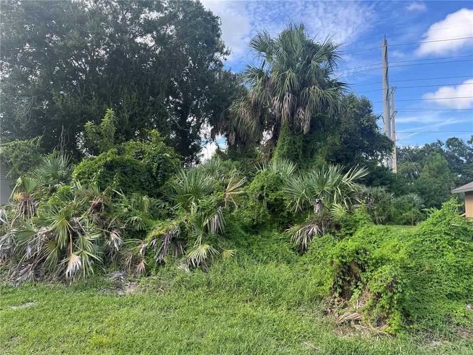 待售: $175,000 (0.24 acres)