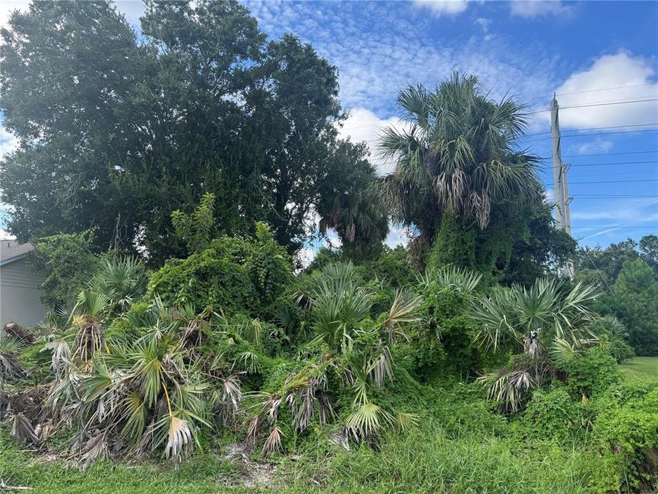 待售: $175,000 (0.24 acres)