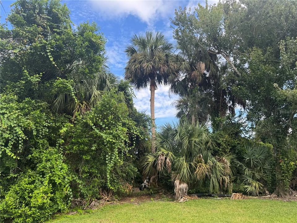 待售: $175,000 (0.24 acres)