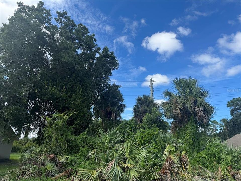 待售: $175,000 (0.24 acres)