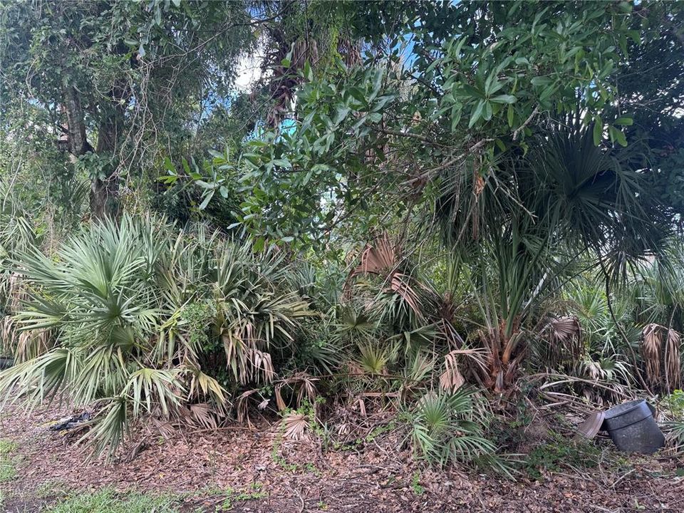 待售: $175,000 (0.24 acres)