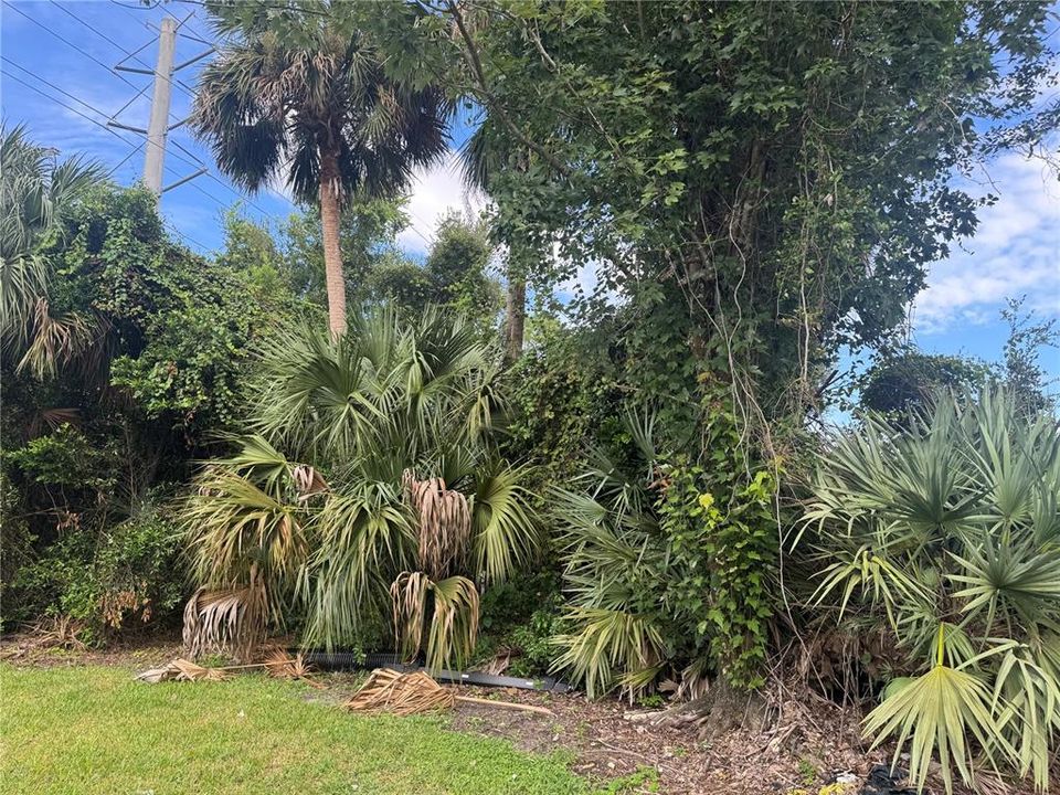 待售: $175,000 (0.24 acres)