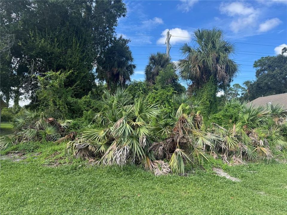 待售: $175,000 (0.24 acres)