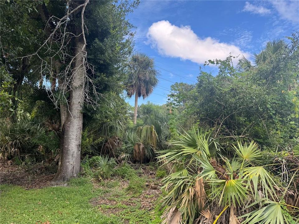 待售: $175,000 (0.24 acres)