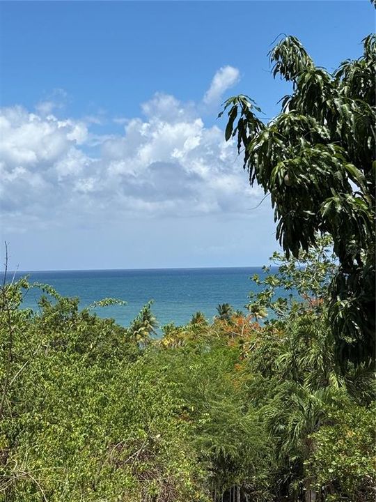 En Venta: $149,000 (3 camas, 2 baños, 800 Pies cuadrados)