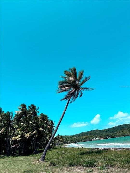 For Sale: $267,000 (3 beds, 2 baths, 797 Square Feet)