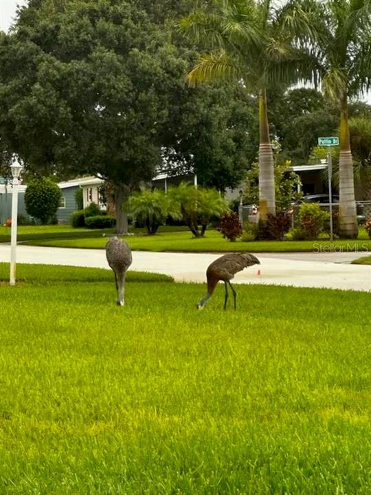 待售: $115,000 (2 贝兹, 2 浴室, 805 平方英尺)