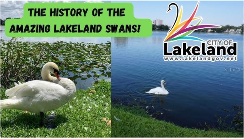 На продажу: $1,300,000 (0.97 acres)