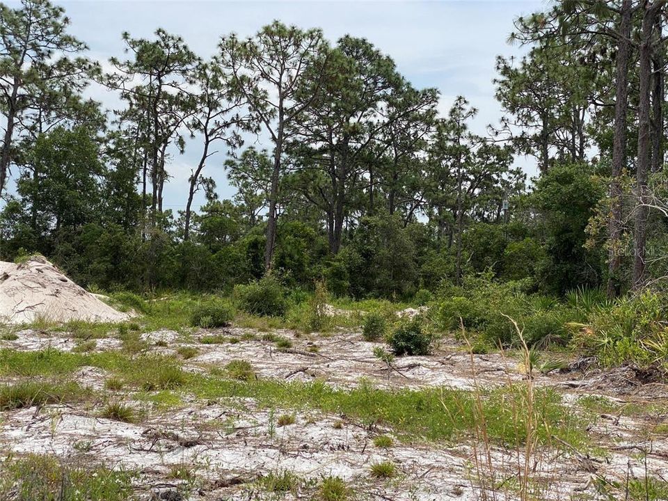 For Sale: $34,900 (0.54 acres)