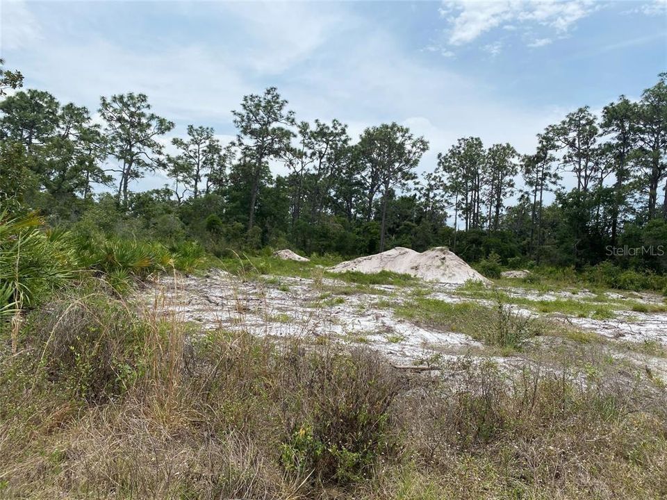 For Sale: $34,900 (0.54 acres)