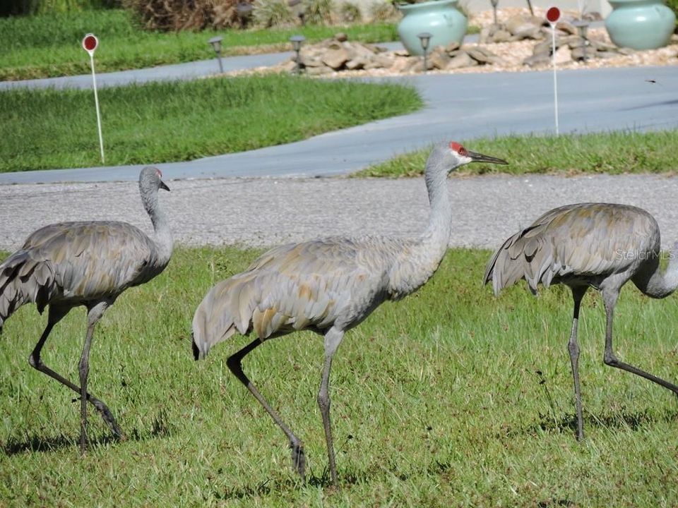 For Sale: $34,900 (0.54 acres)