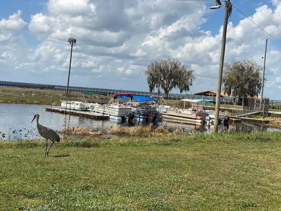 For Sale: $34,900 (0.54 acres)