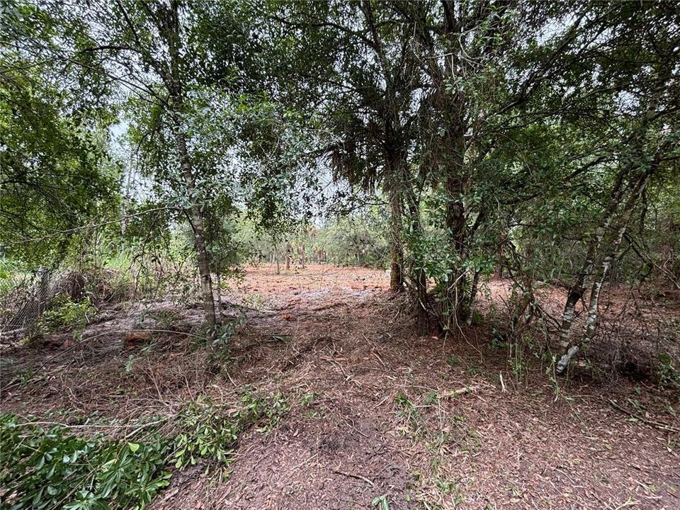 For Sale: $130,000 (2.50 acres)