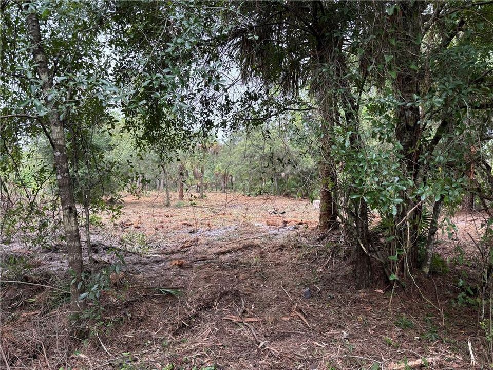 For Sale: $130,000 (2.50 acres)