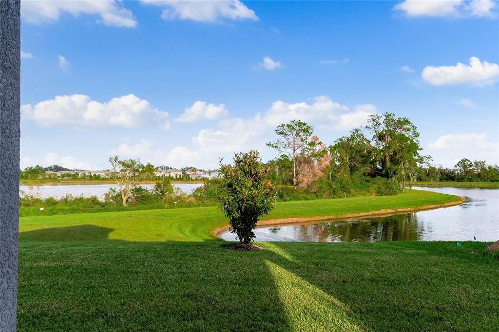 出租: $5,500 (5 贝兹, 3 浴室, 3910 平方英尺)