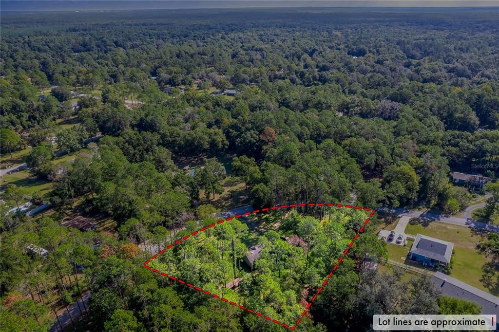 For Sale: $270,000 (3 beds, 2 baths, 1092 Square Feet)