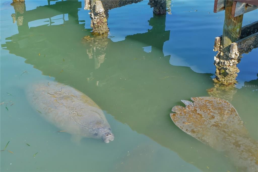 For Sale: $499,000 (1 beds, 1 baths, 641 Square Feet)