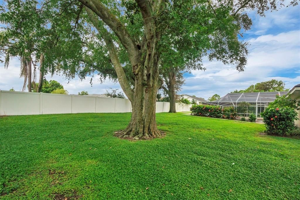 For Sale: $540,000 (3 beds, 2 baths, 3388 Square Feet)