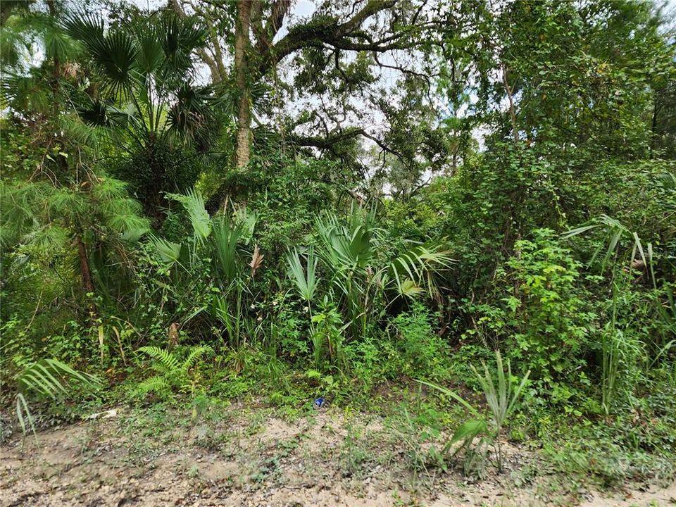 Недавно продано: $35,000 (0.95 acres)